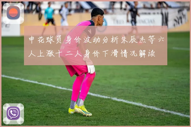申花球员身价波动分析朱辰杰等六人上涨十二人身价下滑情况解读
